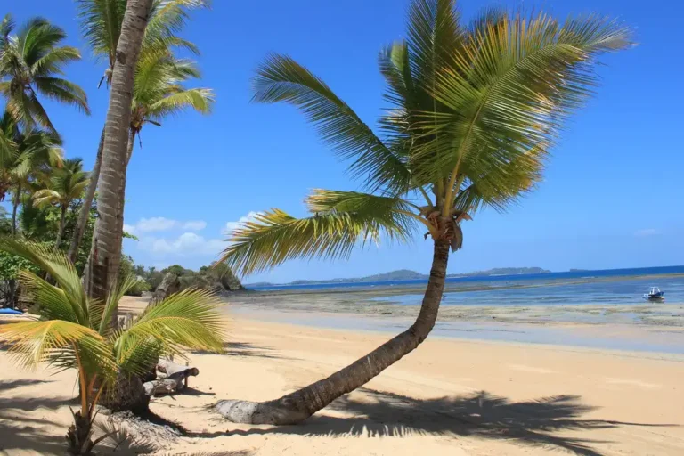 Location de villa privé pour apprecier la beauté de la plage de Nosy Be