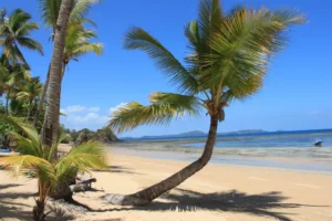 Location de villa privé pour apprecier la beauté de la plage de Nosy Be