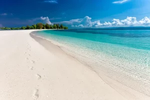 Explorer Andilana Beach : Activités et Incontournables