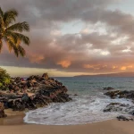 Location quad Nosy Be : Votre guide pratique pour explorer l’île autrement