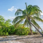 Que voir à Nosy Be : guide pour visiter l’île et découvrir ses trésors