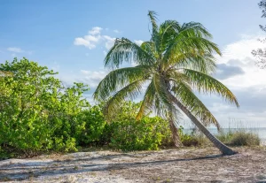 Que voir à Nosy Be : guide pour visiter l’île et découvrir ses trésors