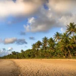 Vivre à Nosy Be : Une expérience entre lagons, nature et hospitalité