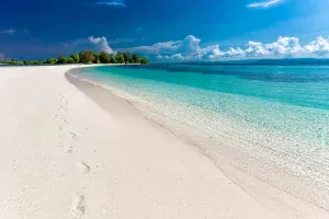 Explorer Andilana Beach : Activités et Incontournables