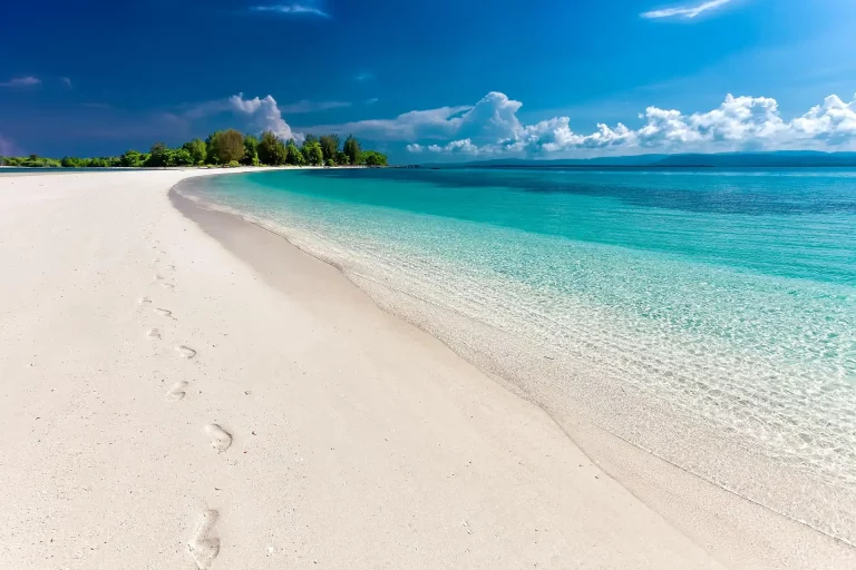 Explorer Andilana Beach : Activités et Incontournables