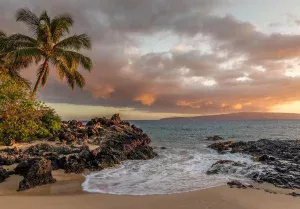 Location quad Nosy Be : Votre guide pratique pour explorer l’île autrement