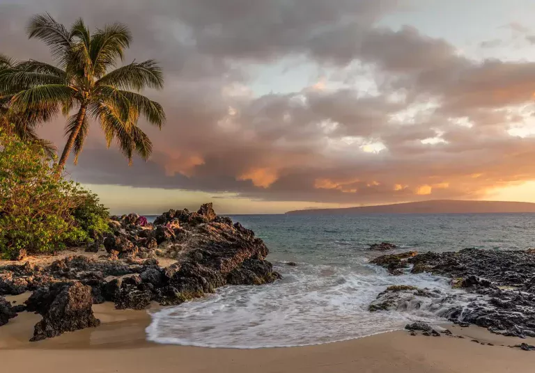 Location quad Nosy Be : Votre guide pratique pour explorer l’île autrement