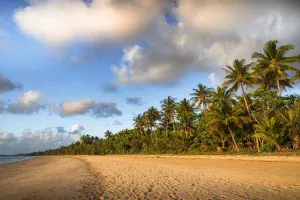 Vivre à Nosy Be : Une expérience entre lagons, nature et hospitalité